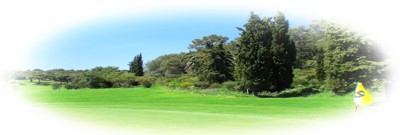 impact de golf