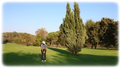 swing de golf du pro