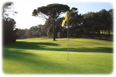 green de golf sur le parcours