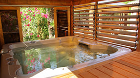 maison d'htes avec jacuzzi  Cannes 